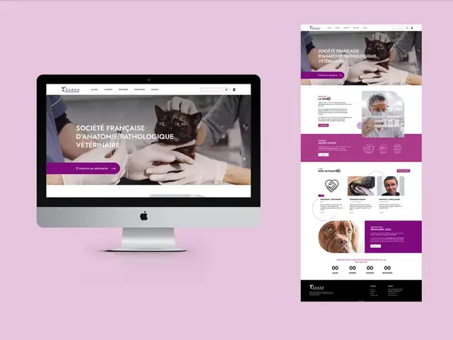 SFAPV — Création de site internet